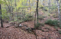 609 Ball Mountain Ln, Shipman, VA 22971