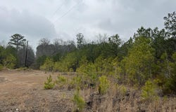 0 CLEARBROOK LANE, CALERA, AL 35040