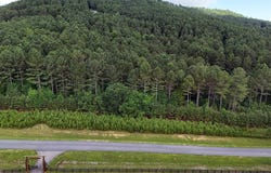 Lot 42 Thirteen Hundred, Blairsville, GA 30512