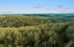 Spring River Ranch Road, Williford, AR 72482