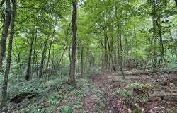 Shepards Hill Road, Jacobsburg, OH 43933