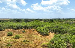 Lot 16 CR 124, Floresville, TX 78114