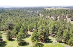 TBD Colt Trail, Sundance, WY 82729