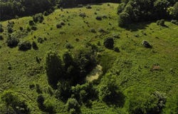 0 E Fairfield Rd, Bluford, IL 62814