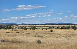 Beckwith Dr lot: 265, Colorado City, CO 81019