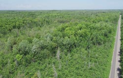 40 Acres Maple Grove, Skandia, MI 49885