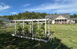 20346 COOL SPRING ROAD, MILTON, DE 19968