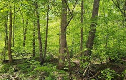 Markwell Road, Hillsboro, KY 41049