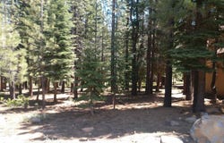 17249 Northwoods Boulevard, Truckee, CA 96161