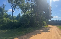 Moore Meadow Drive lot: #20, Georgetown, GA 39854