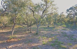 1861 Monkey Rd, ROCKPORT, TX 78382