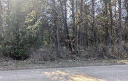 0 Tenth Street, Bear Lake, MI 49614