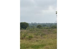Tbd Us-84, Mexia, TX 76667