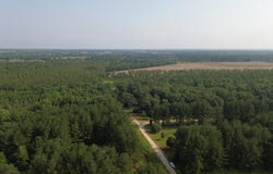 53 +/- A Bond RD, Cairo, GA 39827