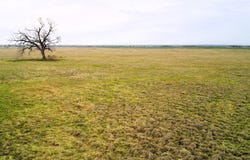 CR 182, Marlin, TX 76661