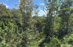 Linhigh Drive, Newland, NC 28657