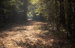 0 Vaughn Road, Vaughn, MS 39179