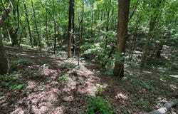 Fouts Mill Rd, Douglasville, GA 30135