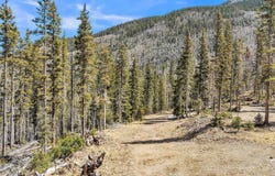 10 Lynx Drive, Taos Ski Valley, NM 87525