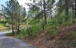 Lot 15 Wintermute Dr, Blairsville, GA 30512
