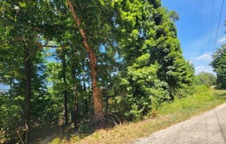 L28, B6 Zia Trace, Cherokee Village, AR 72529