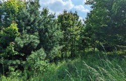Hubbard Hill Road, Maryland, NY 12116