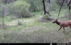 Powerline Road, Boulder, MT 59632