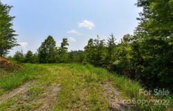The Vines Boulevard lot: 11, Marshall, NC 28753
