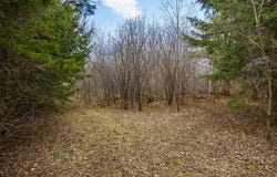 0 County Road EE, Elk Mound, WI 54739