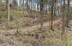 TBD Cherry Blossom Lane, Wytheville, VA 24382