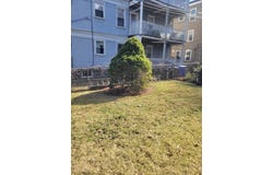 8 Dawes Street, Boston, MA 02125