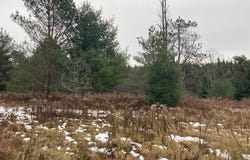 0 St Rt 8, Cold Brook, NY 13324