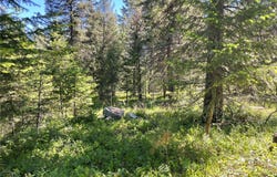 NHN S Shore Drive, Trout Creek, MT 59874