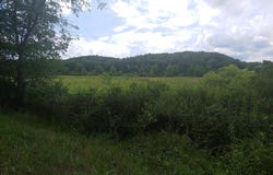 BEAR HILL ROAD, OLDTOWN, MD 21555