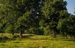 NC 1650, Harrison, AR 72601