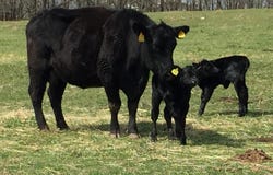 TBD  County Road 4030, Rolla, MO 65401