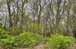 3319 Lakewood Drive, Prairie Grove, IL 60012