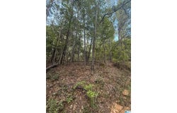 0 COUNTY ROAD 312, MAPLESVILLE, AL 36750