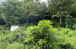1080 Fairview Road, Duffield, VA 24244
