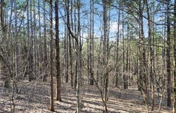 Lot 3 Parkview Dr., Blackwell, MO 63626
