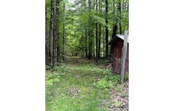 776 Brainards Forge Road, Lewis, NY 12950
