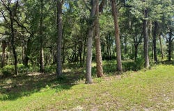 12350 W RIVERWOOD DRIVE, CRYSTAL RIVER, FL 34428