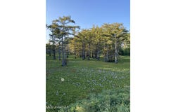 Lakeshore Street, Itta Bena, MS 38941