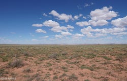8937 W Willauer Lane, Winslow, AZ 86047
