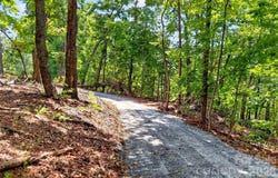 Buffalo Shoals Road, Lake Lure, NC 28746