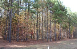 465 Compass Drive, Jasper, TN 37347