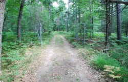 VL Primrose Lane, West Branch, MI 48661