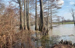 BONNE IDEE HIDEAWAY ROAD lot: 76 & 77, .75+-Ac, Mer Rouge, LA 71261