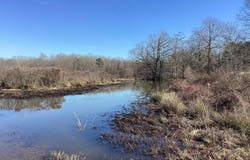 County Road 41, Prescott, AR 71857