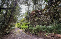 JAPANESE CAMP RD, Pahoa, HI 96778
